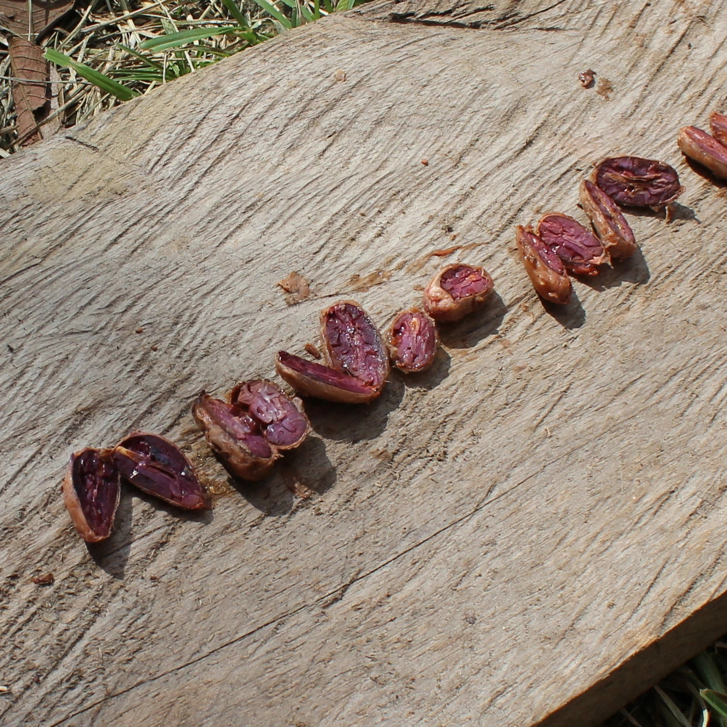 Molecules - Bioaktywna Gorzka Czekolada 4 Molecules - Bioaktywna Gorzka Czekolada — изображение 4