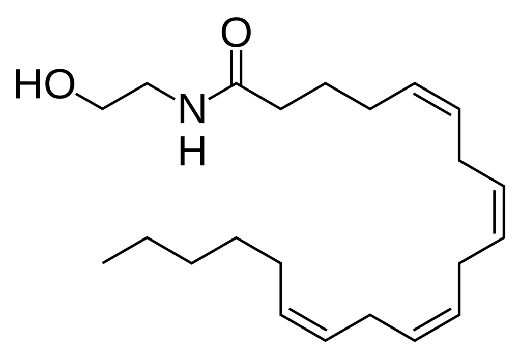 Anandamid - wzór chemiczny